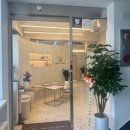 에비뉴 | 성인 취미발레 10년차가 정착한 곳_방배동 발레학원 ‘발레에비뉴’ 추천 후기