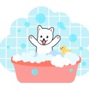 뽀송하개 이미지