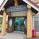 태안 하늘과 바다사이 반려견 강아지 동반 리조트 펜션 반려견과 다녀온 후기