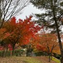 에코야영장 이미지