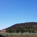 제비2리 이미지