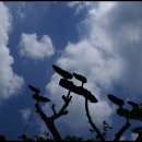 도산리 소교량 21 | 고창기행 <1>