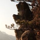 도봉산(740m)의 비경(祕境)!! 오징어바위, 상투바위를 찾아서