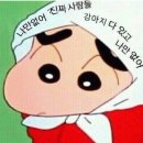 카페돌핀 이미지