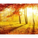 비발디사계 이미지