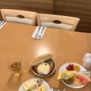 어부의 강 | 동유럽 여행 2일차 일정｜부다페스트 부다 왕궁·어부의 요새·야경 후기🇭🇺✨