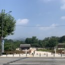 신세계이발관 네이버블로그
