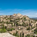 대지에서 이미지