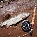 돌산해양낚시공원낚시터 | 🐟 붕어, 우럭, 송어… 입문자에게 추천하는 어종별 특징과 낚시 팁