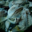 경남복국 - 창원시 성산구 | 경남복국