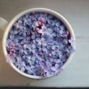 아이디어플라워 이미지