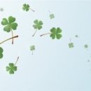 통기타(심화) 이미지