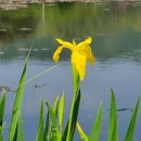 자연이 하는 말을 받아쓰다 이미지