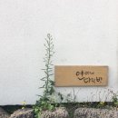 연이네다락방 | [제주도 게스트하우스] 연이네다락방 자세한 후기