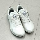 에코바이옴 | 에코 바이옴 보아 여성 골프화 132903-01007 착샷 및 후기