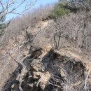 참봉목장 네이버블로그