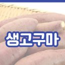 고구마 칼로리 & 고구마 (군고구마, 찐고구마, 생고구마, 튀김, 말랭이) 이미지