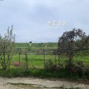 홍성부동산중개사무소 이미지