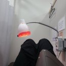 365다찬한의원 이미지