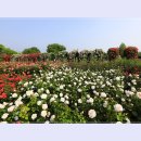 곡성-032 이미지