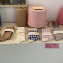 미라벨 제주 이미지