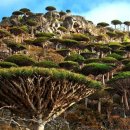 빈 팩토리 이미지