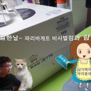 파리바게뜨비사벌