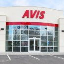 아비스 (avis)