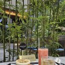 힐링 토마토 사우나 이미지