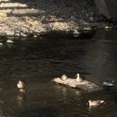 이삭장터 | 이게 겨우 8일간의 기록