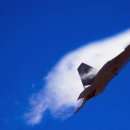 F22 이미지