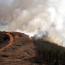 남양3리 이미지