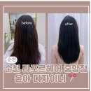 매직노래연습장 | 순천미용실 라포르헤어 순천중앙점 순천중앙동미용실추천