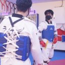 팀태권도장 이미지