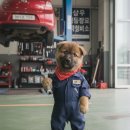 삼우자동차정비 이미지