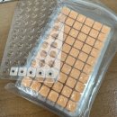 귀 건강학(이혈테라피) | 귀지압 이혈테라피 귀침스티커 셀프케어 후기