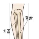 행정사법인 로이드 이미지