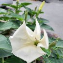 접실 경로당 이미지