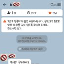 그루밍 이미지