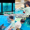 후쿠오카 마린월드 우미노나카미치 체험프로그램 후기 (돌고래먹이주기, 바다표범 먹이주기, 백야드투어)