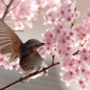 건강하소 이미지