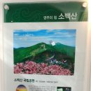 일월인삼사