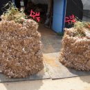 대기2리 이미지