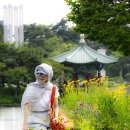 용산-이촌-31 Daum카페