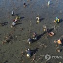 가래치기 이미지