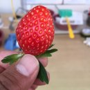 보개농협(가사동) 이미지