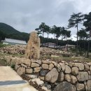 상상수목원 이미지