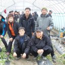 김정열농장 Daum카페
