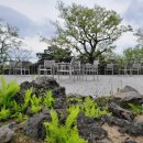 설록차전시관 이미지