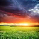 영화 속 삶의 의미 찾기 이미지